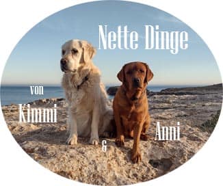 nette-dinge.com