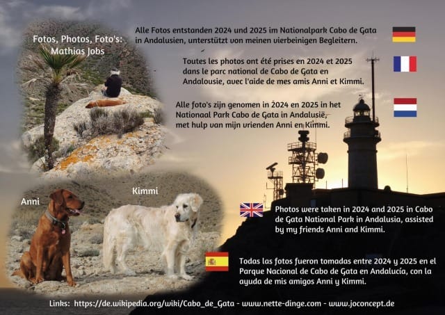 Kalender 2026 Letzte Seite