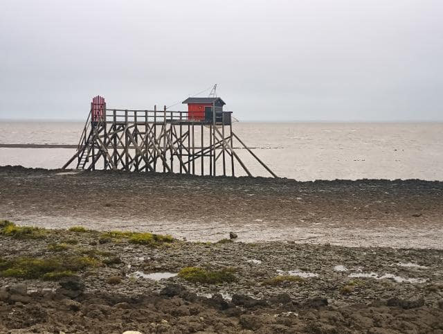 Carrelet rot landscape
