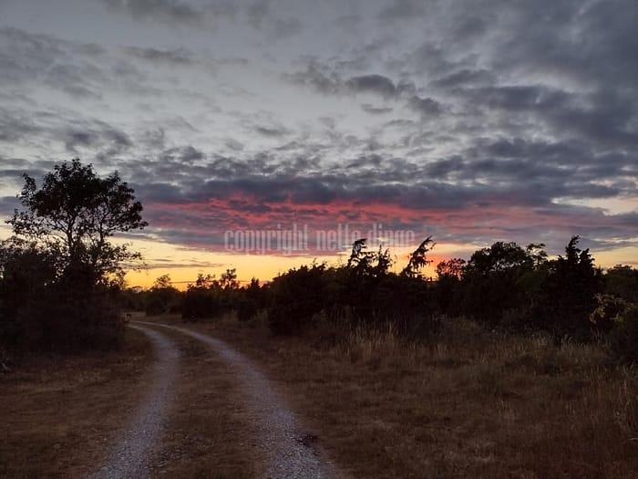 Sonnenuntergang in Schweden 2022 21