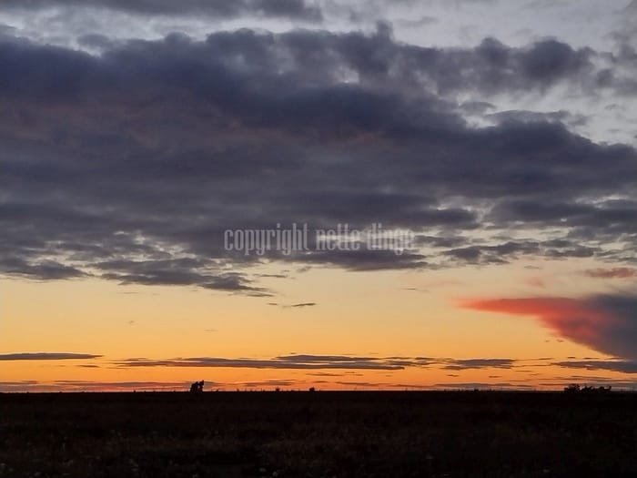 Foto Sonnenuntergang in Schweden 2022 22